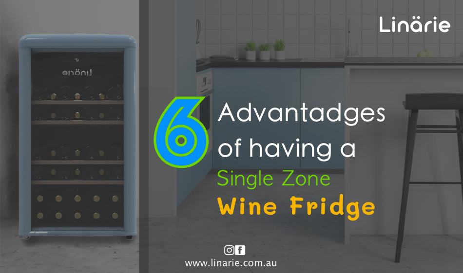 6 Advantages of Having a Single Zone Wine Fridge