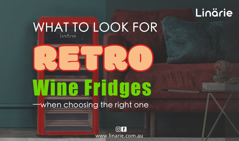 Wine Fridges: What Features to Look for When Selecting the Right One