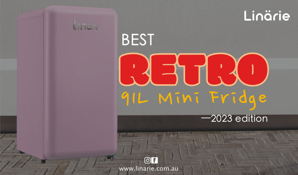 Meilleur miniréfrigérateur rétro 91L avec compartiment congélateur in